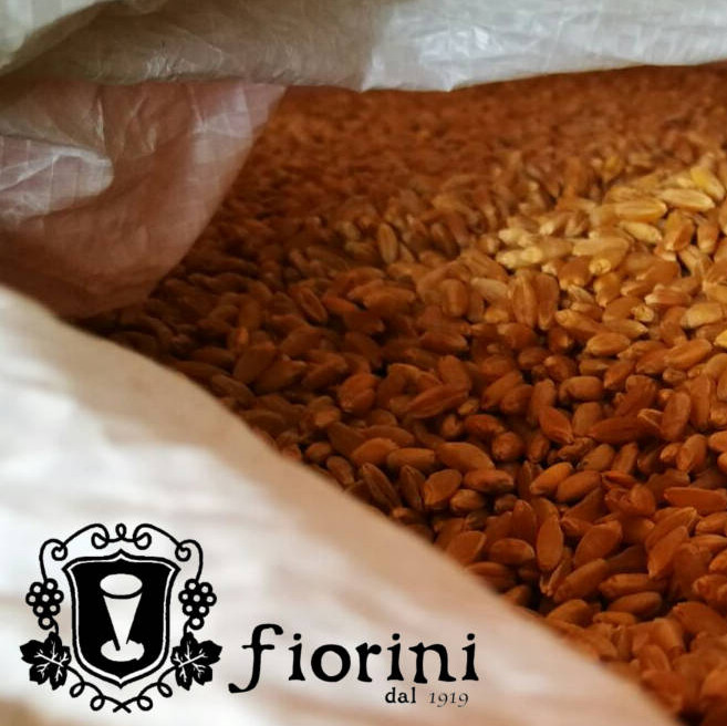 farine newsletter